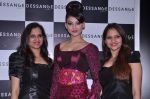Riddhi Sddhi launches new collection in Mumbai on 20th Aug 2013 (32).JPG